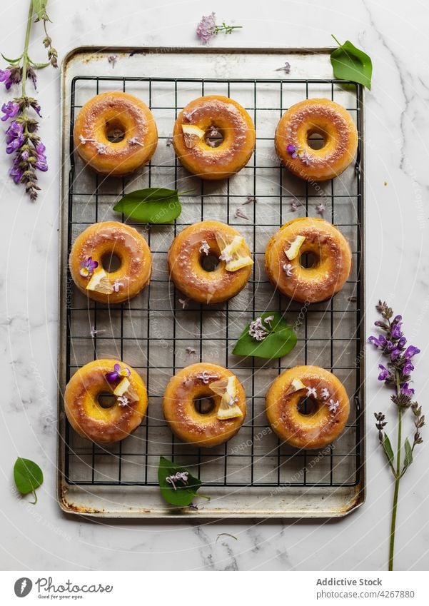 Leckere Krapfen mit frischen Zitronenscheiben auf dem Gestell Doughnut Lavendel Gebäck Leckerbissen süß Aroma lecker frittiert Kühlregal Reihe ähnlich organisch