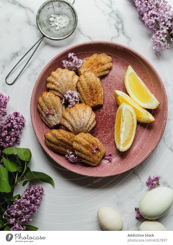 Leckere Madeleines mit Zitronenspalten und Lavendelblüten madeleine Leckerbissen süß Zucker Blume lecker Wittern Teller Kuchen Ei geschmackvoll gebacken Aroma