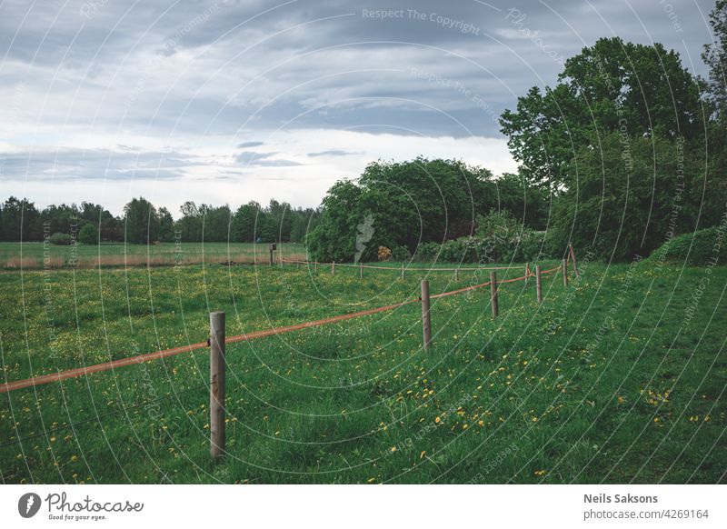 Elektrozaun um eine Weide Landschaft Zaun Gras Himmel Feld Natur Bauernhof grün Sommer Wiese ländlich blau Ackerbau Baum Wolken hölzern Cloud Bäume Ranch