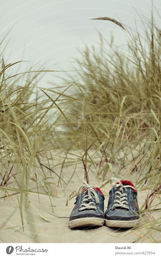 Endlich Urlaub Leben Erholung Schwimmen & Baden Ferien & Urlaub & Reisen Ausflug Abenteuer Sommerurlaub Strand Ruhestand Natur Sand Sträucher Ostsee Schuhe