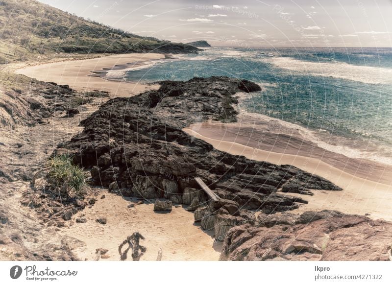 in australien die strandinsel der baum und die felsen Strand Australien Insel blau Pfingstsonntag Meer Wasser Sand Queensland Steine MEER Landschaft Natur