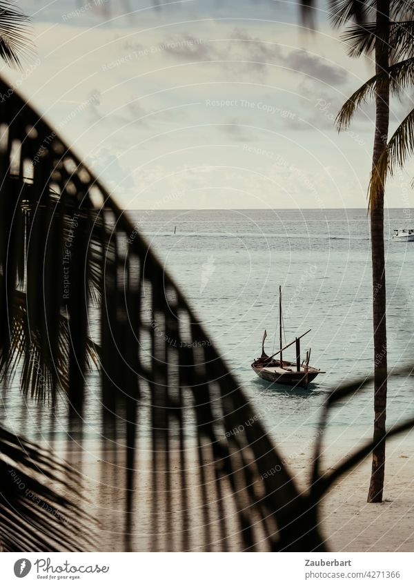 Traditionelles Segelboot auf den Malediven vor einem Strand mit Palmen Boot Holzboot Meer Wasser Ferien & Urlaub & Reisen Küste Sand Insel Lagune tropisch