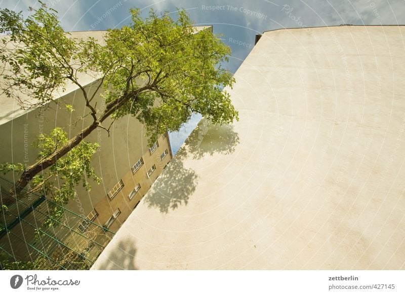 Schöneberg Natur Himmel Sommer Klima Klimawandel Wetter Schönes Wetter Baum Stadt Hauptstadt Stadtzentrum Haus Bauwerk Gebäude Architektur Mauer Wand Fassade