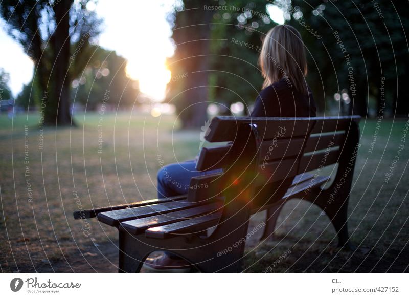 blick nach vorn Mensch feminin Junge Frau Jugendliche Erwachsene 1 30-45 Jahre Umwelt Natur Landschaft Sonne Sonnenaufgang Sonnenuntergang Sonnenlicht Sommer