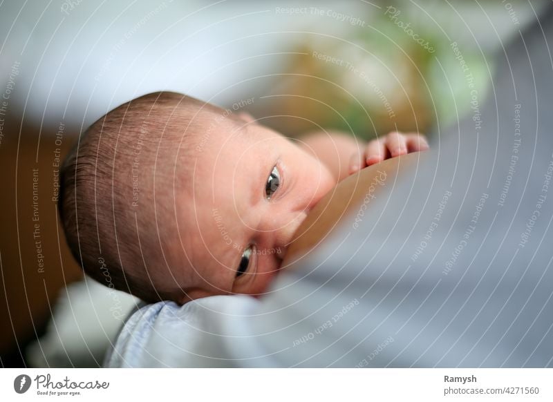 Mutter, die ihr Kind stillt. Säugling Junge Mädchen Baby niedlich bezaubernd schön Kostbarkeit Gesundheit Wellness natürlich Hand Brust Mama Eltern Liebe