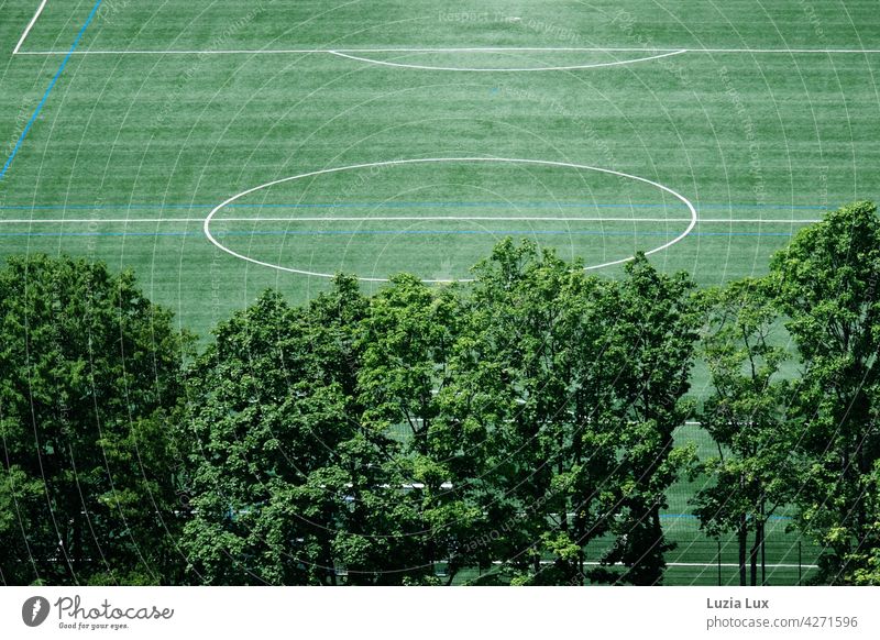 grün von oben, ein menschenleeres Fussballfeld. Davor alte Bäume, über allem Sonnenschein gerade Linien Fußball Fußballfeld Rasen Sportplatz hell Spielen