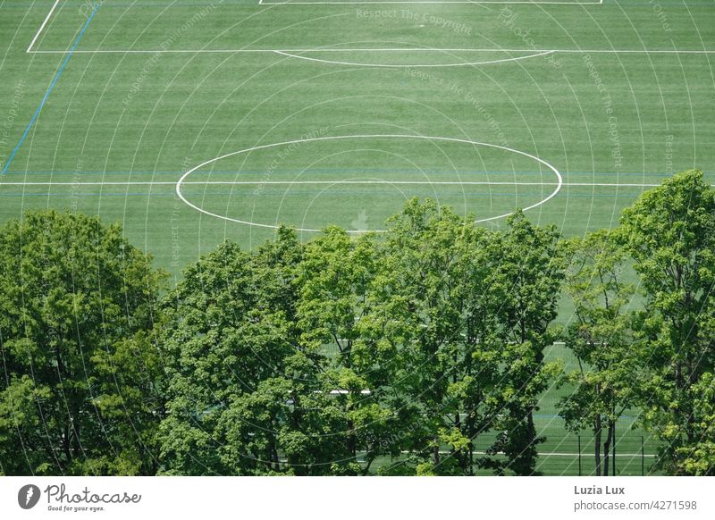 grün von oben, ein menschenleeres Fussballfeld. Davor alte Bäume, über allem Sonnenschein gerade Linien Fußball Fußballfeld Rasen Sportplatz hell Spielen