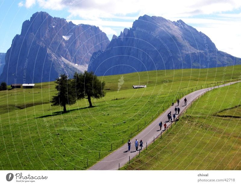 Langkofel wandern Dolomiten Südtirol Alm Wiese Seiser Alm Berge u. Gebirge Alpen Ausflug Plattkofel Felsen