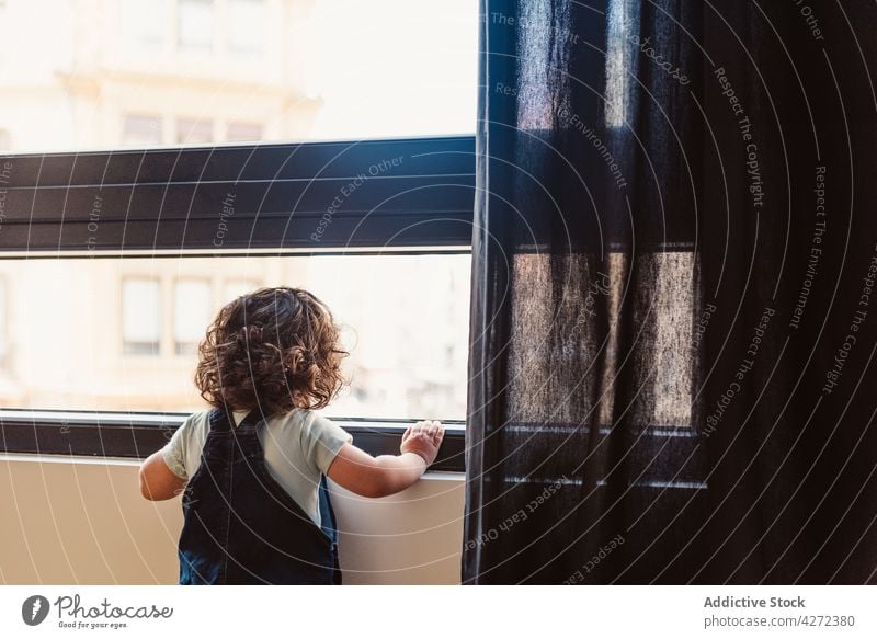 Gesichtsloses kleines Kind schaut aus dem Fenster Kindheit wenig bezaubernd neugierig unschuldig Kleinkind zu Hause Lifestyle lässig krause Haare Windstille