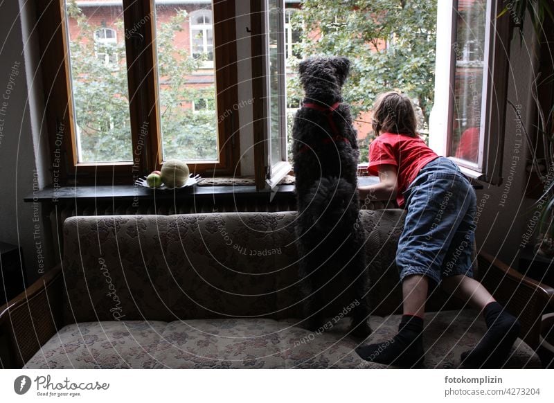 Kind und Hund schauen aus dem Fenster Haushund Junge Tierliebe Zusammensein Freundschaft Kindheit Neugier Glück gemeinsam neugierig Mensch und Hund