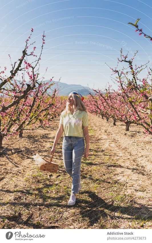 Unbekümmerte Frau geht entlang eines Feldes mit blühenden Bäumen Baum Blütezeit Garten Blume führen Weide Korb Landschaft Pflanze wachsen Flora üppig (Wuchs)