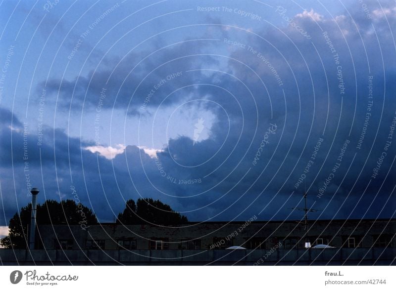 Abendblau Wolken Baum Dach Haus Licht Dämmerung Himmel Wetter