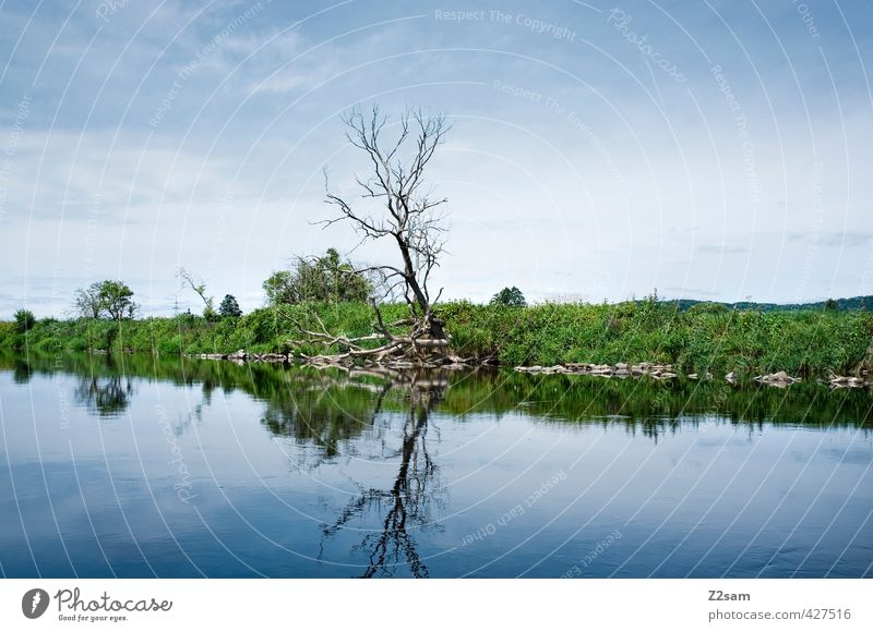 vergänglichkeit Natur Landschaft Wolkenloser Himmel Sommer Schönes Wetter Baum Sträucher Wiese Seeufer Fluss ästhetisch einfach kalt natürlich Sauberkeit blau