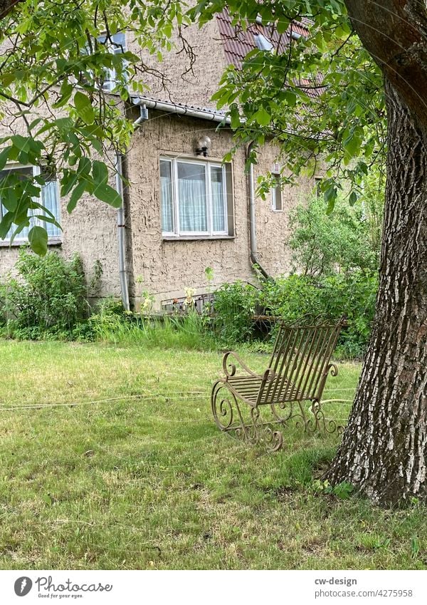 Ein Keks unter einem Baum - ein schattiges Plätzchen Eiche Garten Schaukelstuhl schaukeln gemütlich idyllisch Natur Farbfoto Außenaufnahme Tag Pflanze