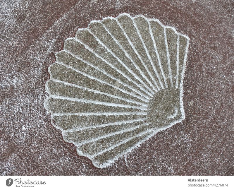 Symbol einer Jakobsmuschel im Asphalt auf dem Weg an der Küste im Winter leicht mit Schnee bepudert Muschel Fächermuschel Jacobsmuschel Kammmuschel Schablone