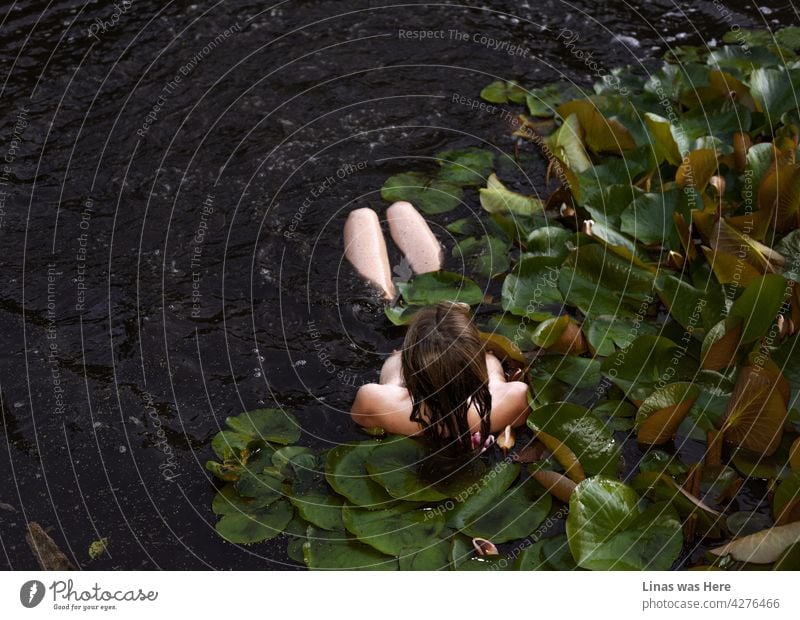 Auch wenn das Wasser dieses dunklen Teiches mit seinen riesigen grünen Seerosenblättern nicht gerade zum Baden einlädt, so nehmen doch wunderschöne, nackte Mädchen ein Bad. Perfekte sexy Kurven mit heißem Blut darunter. Wilde Sommerabenteuer vom Feinsten.