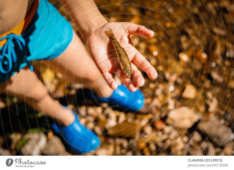 Junge im Badeanzug mit einem kleinen Fisch in der Hand Junge mit einem Fisch Kindheit in der Nähe des Flusses Natur Blauer Badeanzug Fischen Fische zeigen