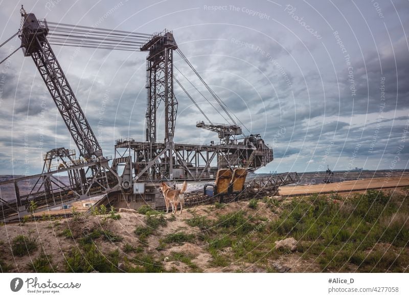 Hambach RWE-Braunkohlerevier Hintergrund groß Kohle Kohlekraftwerk Förderband Zerstörung Bagger Schürfen Energie Umwelt umgebungsbedingt Gerät Europa