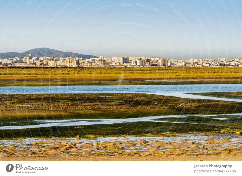 Stadt Faro von der Halbinsel Faro Beach aus gesehen mit den Feuchtgebieten der Ria Formosa im Vordergrund, Algarve, Portugal Ria formosa Natur Skyline Großstadt