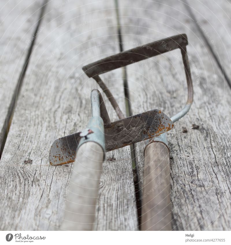 Gartenwerkzeug - zwei  alte Gartenhacken liegen auf einem Holztisch Hacke Metall Gebrauchsspuren Holzstiel rostig Nagel Pause verwittert Gartenarbeit Hobby Rost