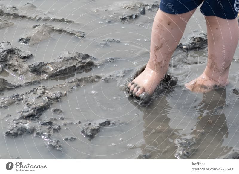 Kinderfüße im Matsch bei Ebbe im Watt Schlick Wattwandern matschig Wasser nass dreckig Schlamm Pfütze Beine Nordsee Nordseeküste Nordseeinsel Nordseeurlaub