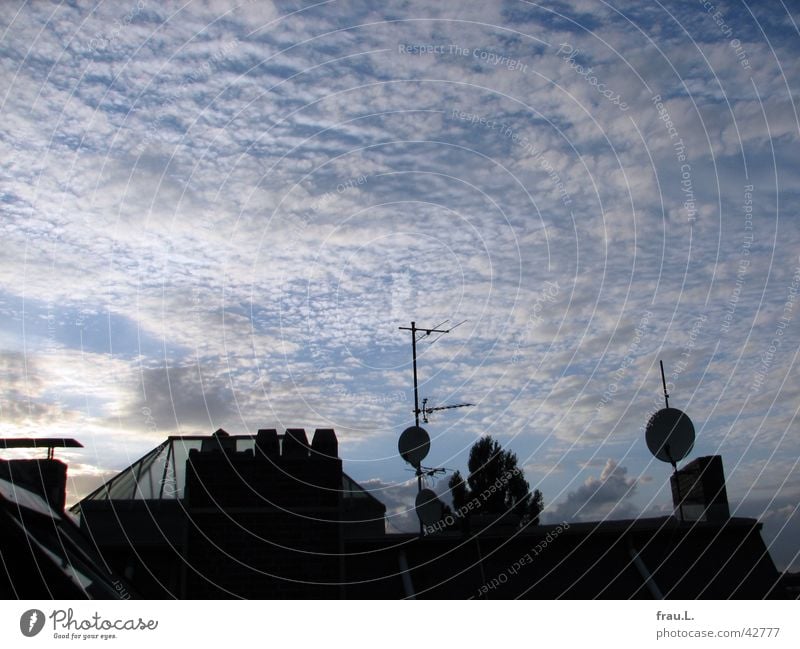 Blick am Abend III Dach Stadt Wolken Sommer Antenne Baum Oberlicht Pappeln Himmel Elektrisches Gerät Technik & Technologie schonsteine Schalen & Schüsseln blau