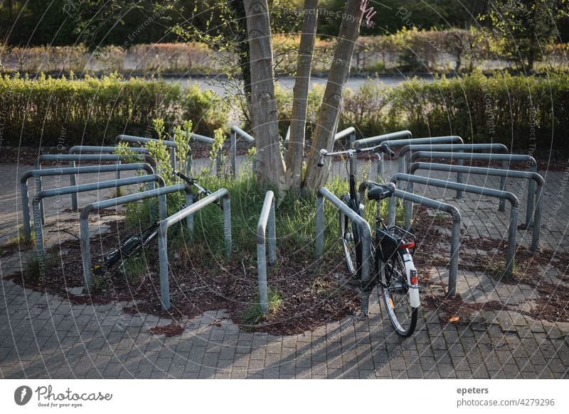 Fahrradstellplatz kreisförmig angeordnet in Abendsonne Stellplatz Fahrradständer Verkehrswende Schatten Licht Sonne Sonnenlicht parken Parkplatz rund Kreis