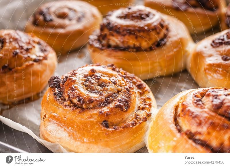 Nahaufnahme süße skadinavische aromatische Zimtrollen. Traditionelles hausgemachtes Gebäck aus Butterteig. Leckere Brötchen auf Backpapier. Winter-Weihnachten skandinavischen Gebäck.