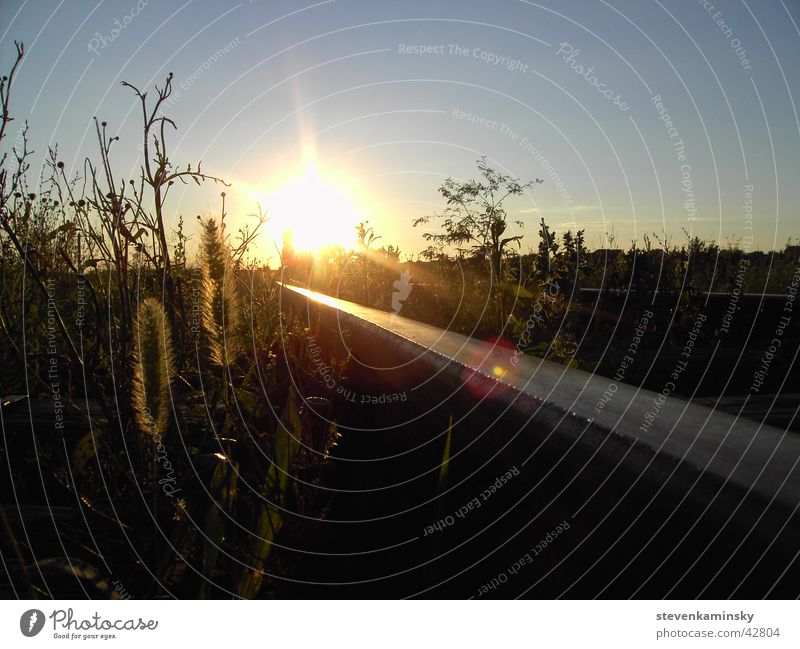 Sonnenuntergang in Serbien Gleise Natur