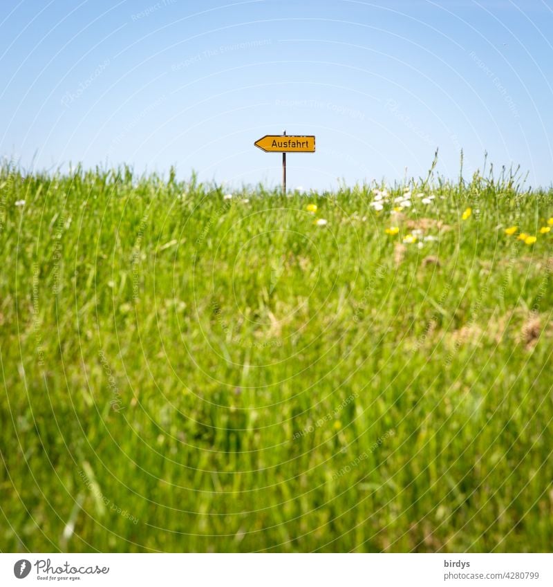 Ausfahrt, Richtungsweiser auf einem mit Gras bewachsenen Hügel Pfeil Orientierung Verkehrsschild wegweisend Symbolbild Ausweg Hoffnung Wiese Wolkenloser Himmel