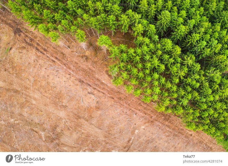 Gefälltes Waldstück gefällter wald borkenkäfer nadelwald nadelbäme top down holzfällen harvester klimawandel boden wald von oben grün