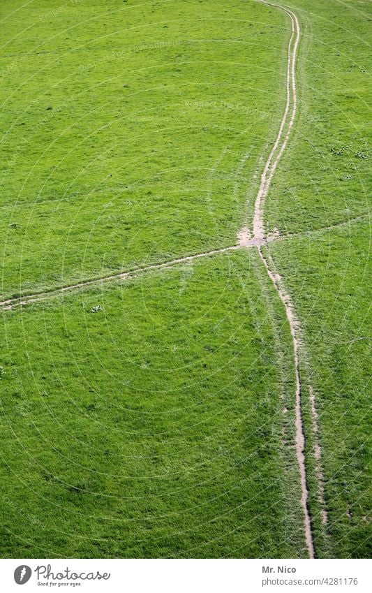 Trampelpfad Spaziergang Wiese Gras Rasen grün Natur Park Wege & Pfade Kreuzung Fußweg Vogelperspektive Spuren Landschaft Umwelt wandern ruhig Sommer Pflanze