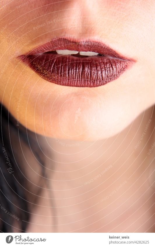 Sinnliche menschliche Lippen in dunkelrot geschminkt Mund Erdbeermund Schneidezähne Kinn Teil des Gesichts Lippenstift Schminke Make-up feminin schön Kosmetik