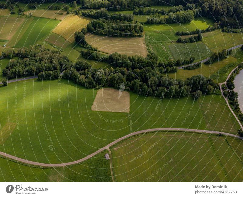 Drohnenaufnahme von Feldern und einem kleinen Wald am Abend aus der Vogelperspektive Waldrand Luftaufnahme Landschaft Farbfoto Natur Außenaufnahme grün Tag Baum