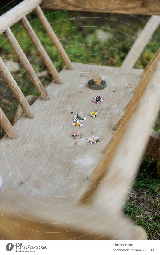 Bollerwagen mit Gänseblümchen Holz Kinderspiel blumenkind Blume Spielzeug Kinderlied Nostalgie Komparse Feiertag Unschärfe Treffen Transporter