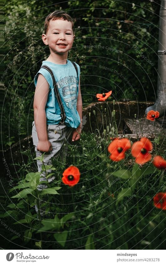 Junge mit Hosenträgern steht in Mohnblumen Blumen Kindheit Natur Garten Sommer Blüte Außenaufnahme Mohnblüte Jungen frech Lausbuben draußen authentisch Spielen