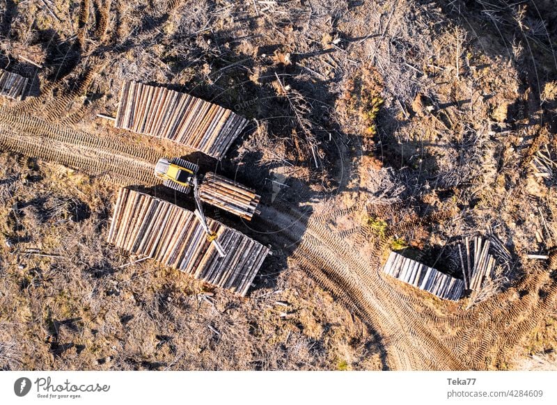 Der Harvester 2 holz holzfällen harvester holzindustrie forstarbeiter borkenkäfer klimawandel holzfällenbaumstämme top down förster