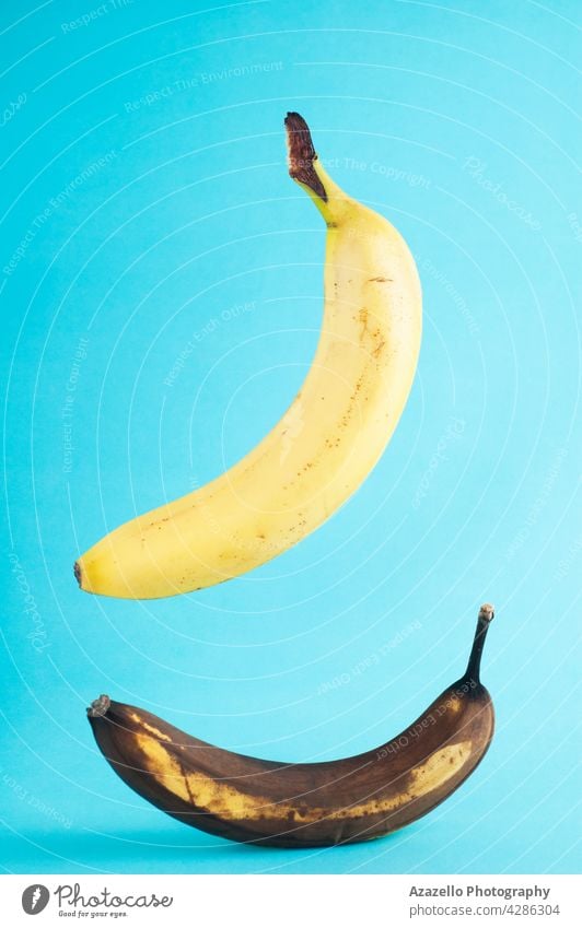 Frische und faule Bananen auf blauem Hintergrund. Echtes Foto von einer frischen Banane schwebend ob blauem Hintergrund. Ackerbau Veganer Gesundheit gelb alt