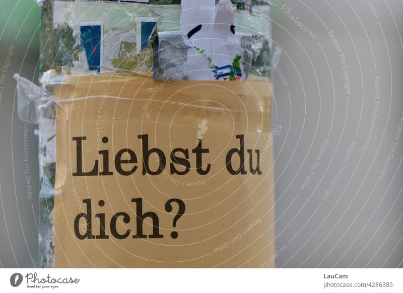 Liebst Du Dich? Liebe lieben Eigenliebe Frage Fragen Plakat Ausdruck Gute Frage Straßenfotografie Laternenpfahl beklebt bekleben verboten herzensangelegenheit