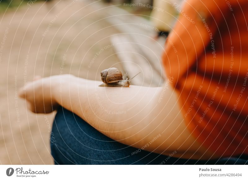 Schnecke, die auf dem Arm einer Frau kriecht Riesenglanzschnecke Schneckenhaus Arme schleimig Weichtier Tier Fühler langsam krabbeln Natur Nahaufnahme Farbfoto