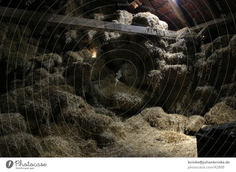 Stroh - Boden Bauernhof dunkel Licht Krefeld Handwerk Dachboden Bodenbelag Lager Schatten holthusen julian brinke