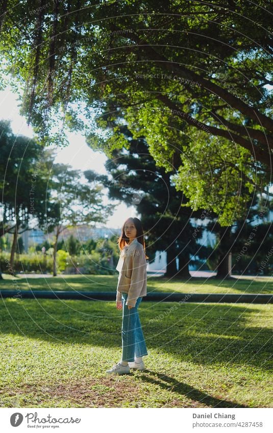 Hübsches Mädchen stehend unter dem Baum Sonnenlicht Porträt asiatisch Erwachsene schön Junge Frau Mode Beautyfotografie Außenaufnahme attraktiv Model hübsch