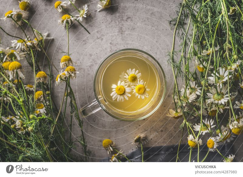 Nahaufnahme von Kräutertee aus Kamille in Glastasse mit frischen Blumen. Ansicht von oben abschließen Tasse Kräuterbuch Tee Bündel Küchenkräuter Herbst Thema