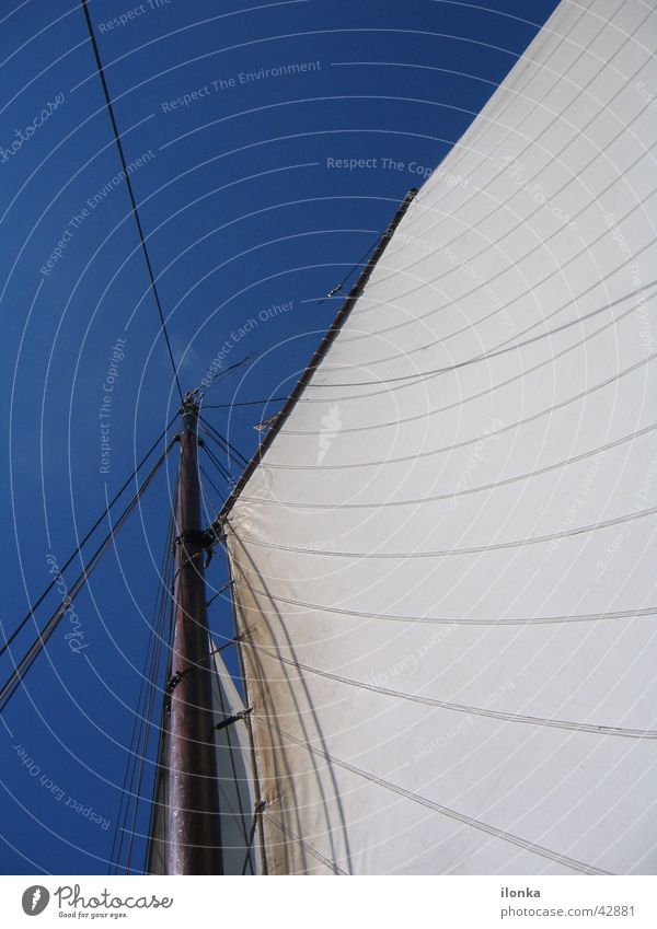 Segeltraum Segeln Sommer Ferien & Urlaub & Reisen Wasserfahrzeug unterwegs Meer Schifffahrt Blauer Himmel Wind Strommast