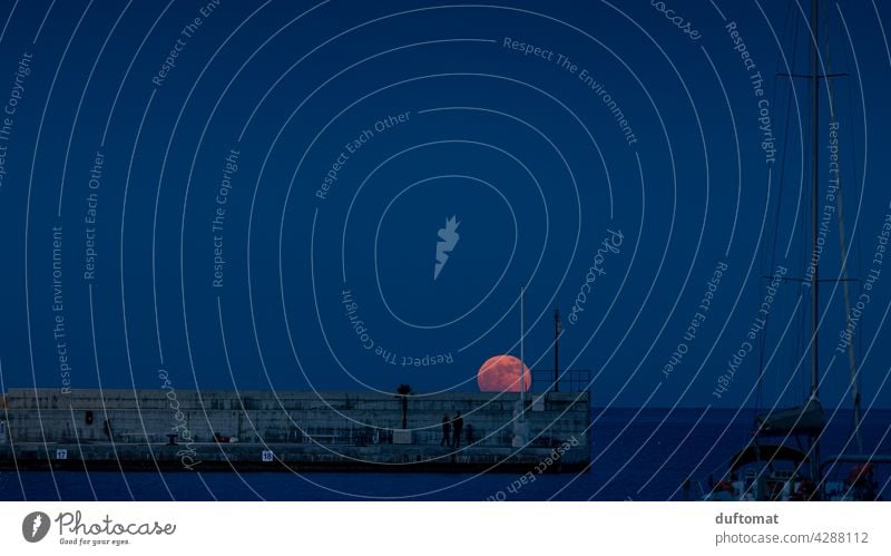 Vollmond über dem Meer Mond Nacht pink moon supermoon Himmelskörper & Weltall Erdtrabant Mondaufgang Blau blaue Stunde Dämmerung Boot Mittelmeer