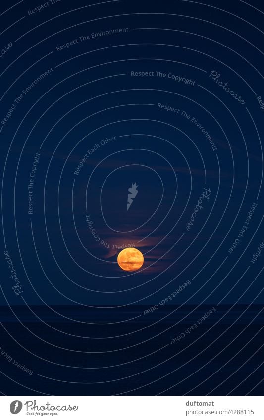 Vollmond über dem Meer Mond Nacht pink moon supermoon Himmelskörper & Weltall Erdtrabant Mondaufgang Blau blaue Stunde Dämmerung Mittelmeer dunkel schwarz