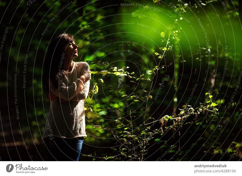 Porträt einer schönen jungen Frau mit geschlossenen Augen im Wald in der Sonne Mädchen Wälder weiß hübsch im Freien Model Lifestyle Behaarung Erwachsener