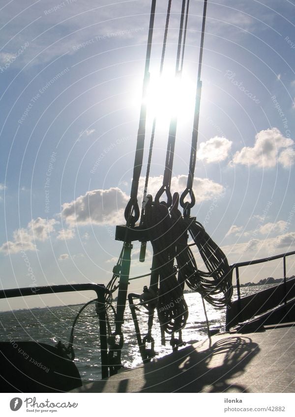 Takelage Segeln Sommer Ferien & Urlaub & Reisen Wasserfahrzeug Meer Schifffahrt Seil Sonne