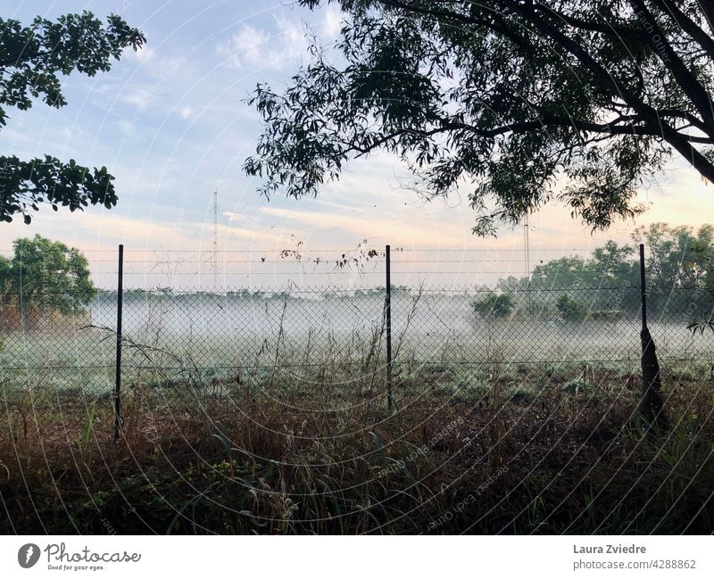 Morgennebel Nebel neblig Sonnenlicht Landschaft Baum Natur im Freien Saison Morgenlicht Ansicht Umwelt grün schön Licht natürlich malerisch Zaun Hintergrund