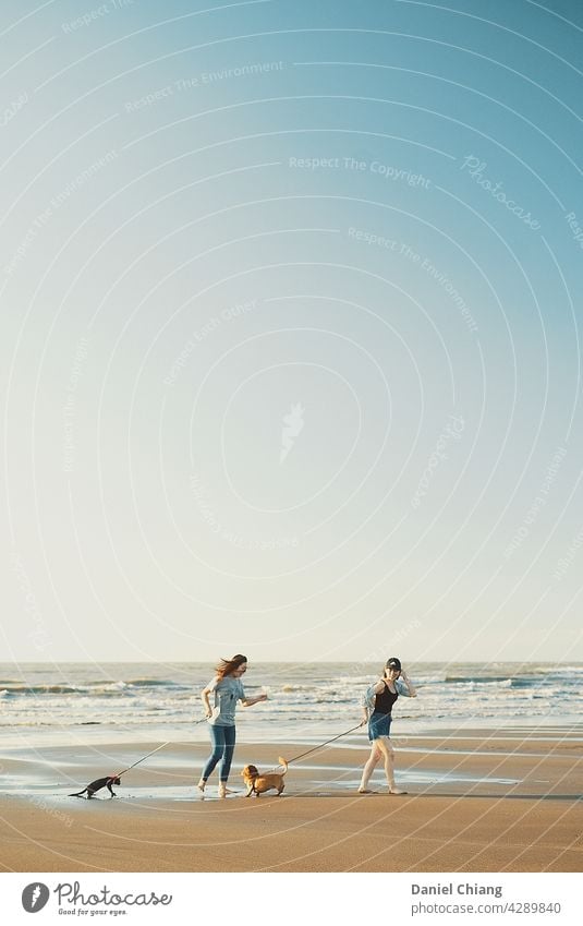 Strand mit Hund und Katze Mensch Tier Haustier Tierliebe Erholung Ferien & Urlaub & Reisen Außenaufnahme Wolkenloser Himmel Schönes Wetter Landschaft Erwachsene